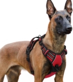 rabbitgoo Dog Harness for Large, No Pull Pet Harness with 3 Buckles, Adjustable Soft Padded Pooch Vest with Instant Control Handle, Easy Walking Reflective Pet Vest for Extra Large Dogs, Red, XL